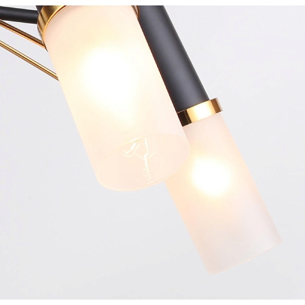 Потолочная люстра F-Promo Viator 2558-5P изображение 6 Потолочная люстра F-Promo Viator 2558-5P Фото № 6