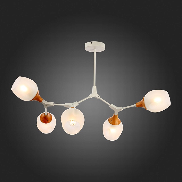 Потолочная люстра Evoluce Ciotolla SLE113502-05 изображение 2 Потолочная люстра Evoluce Ciotolla SLE113502-05 Фото № 2