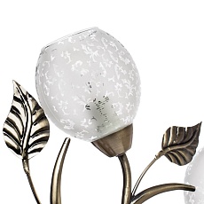 Потолочная люстра Arte Lamp Anetta A6157PL-5AB 1