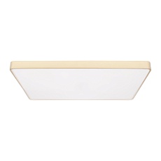 Потолочный светодиодный светильник Loft IT Flims 10228/E 1