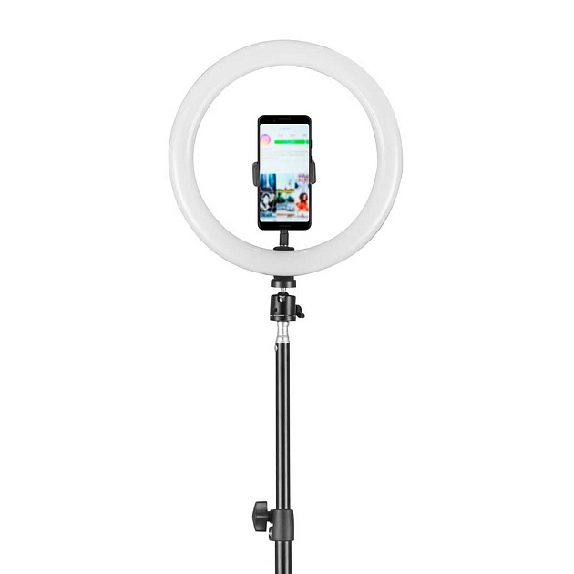 Торшер Camelion KD-810F C02 13010 изображение 4 Торшер Camelion KD-810F C02 13010 Фото № 4