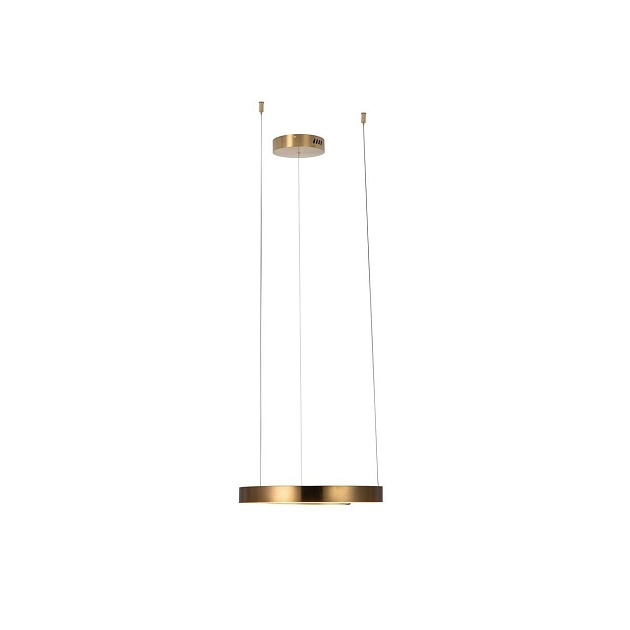 Подвесной светодиодный светильник Loft IT Ring 10013S Фото № 4