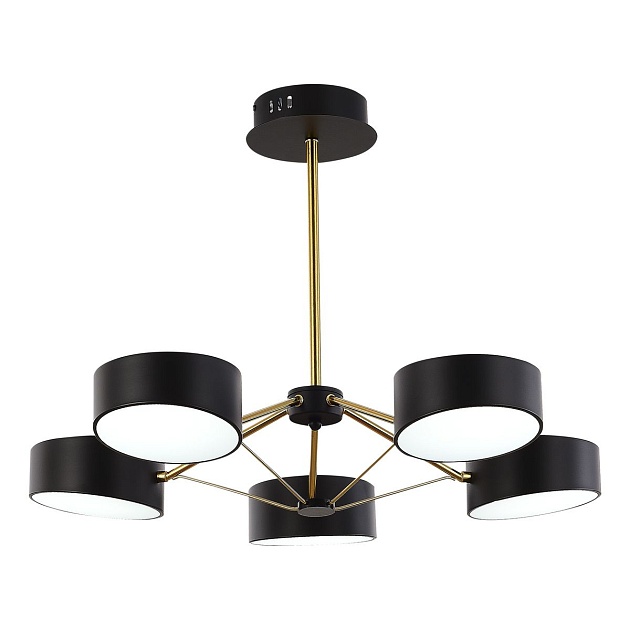 Потолочная светодиодная люстра Evoluce Valle SLE6005-402-05 Фото № 2