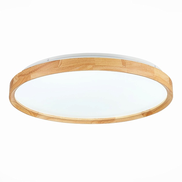 Потолочный сетодиодный светильник Evoluce Delia SLE201382-01 изображение 2 Потолочный сетодиодный светильник Evoluce Delia SLE201382-01 Фото № 2