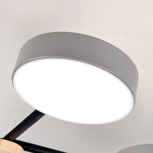 Потолочный светильник LED4U L3201-780 GR Фото № 3