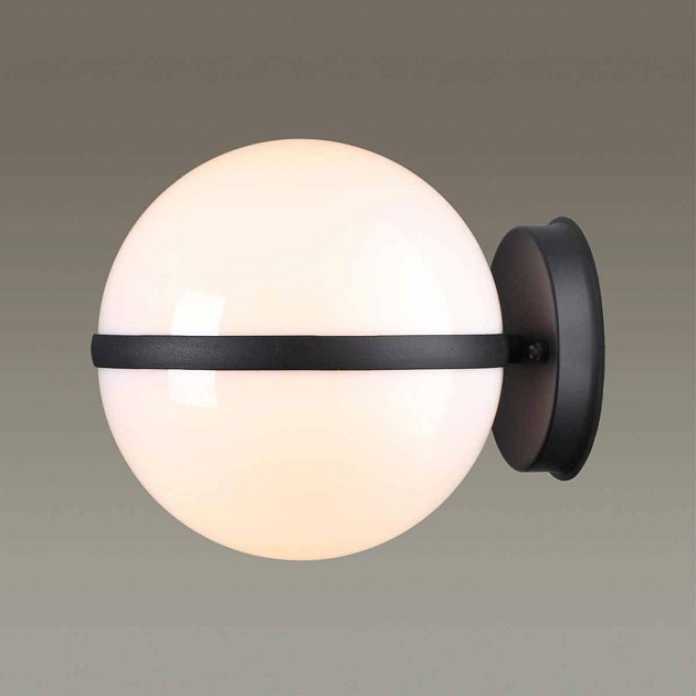 Уличный настенный светильник Odeon Light Nature Lomeo 4832/1W Фото № 3