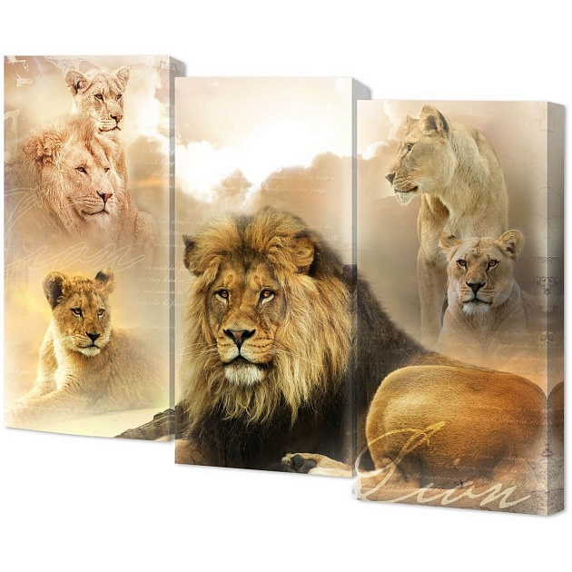 Модульная картина Toplight 100х150х3см TL-M3079 изображение 1 Модульная картина Toplight 100х150х3см TL-M3079 Фото № 1