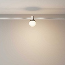 Трековый светильник Maytoni Technical TR149-1-5W3K-PT 2