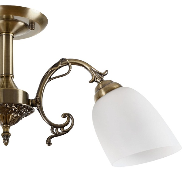 Потолочная люстра MyFar Ceiling Biene MR1522-3C изображение 5 Потолочная люстра MyFar Ceiling Biene MR1522-3C Фото № 5