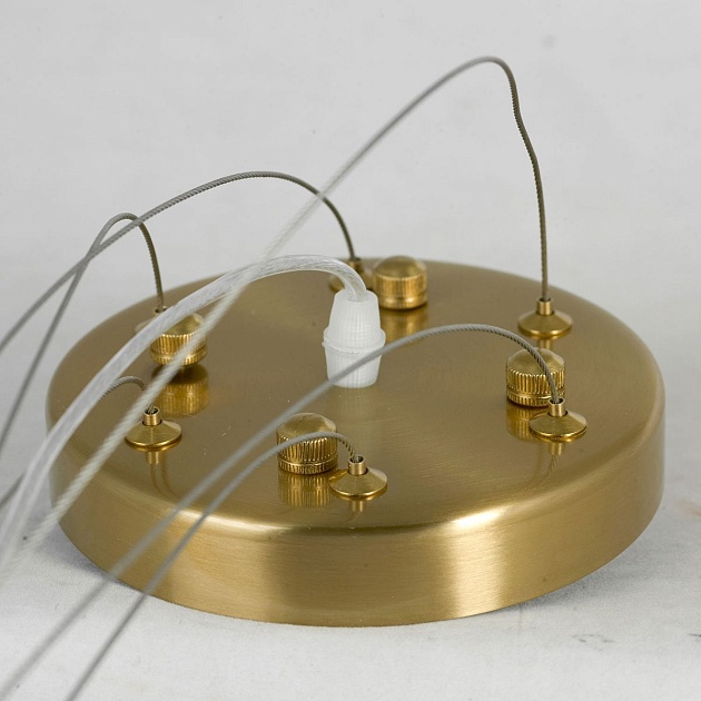 Подвесная люстра Lussole Lauderdale LSP-8598 Фото № 5