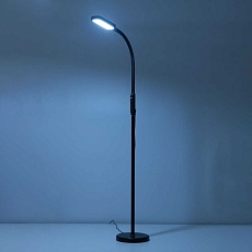 Торшер Citilux Марк CL804021 5