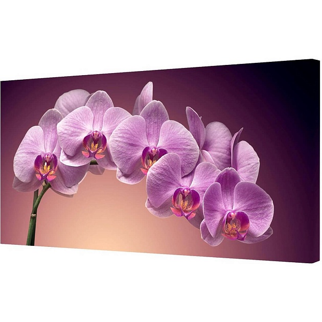 Холст Toplight 50х100х3см TL-H0003 Фото № 1