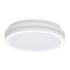 Светильник накладной Citilux LUNS CL711010V 4