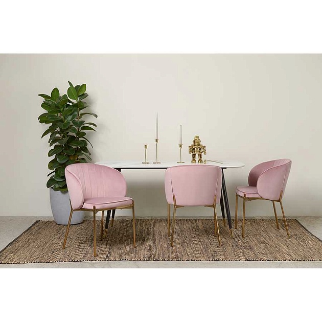 Кухонный стул Bergenson Bjorn Coral BEAR-CO10815 Фото № 17