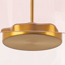 Потолочный светодиодный светильник Lightstar Celesta 809062 2