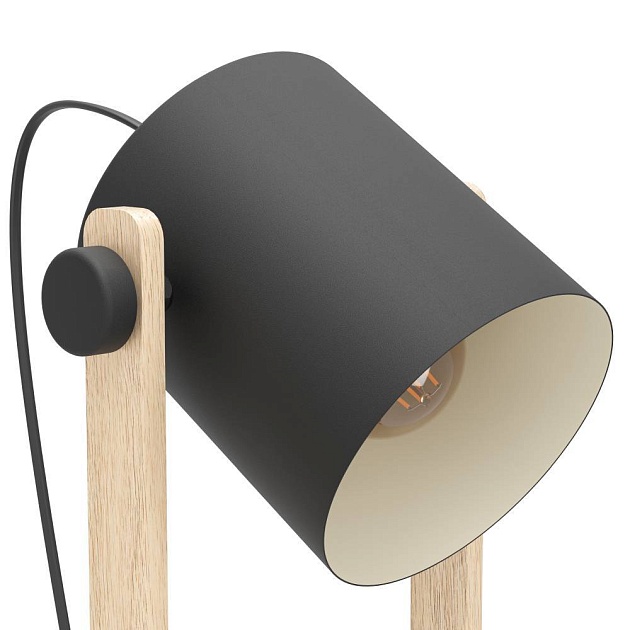 Торшер Eglo Hornwood 43521 Фото № 3