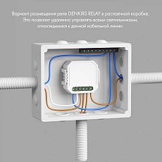 Wi-Fi реле-диммер одноканальное Denkirs 1x150Вт RL1003-DM/1 5