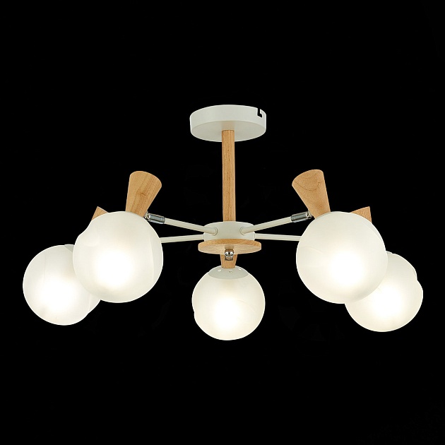 Потолочная люстра Evoluce Catania SLE220702-05 изображение 4 Потолочная люстра Evoluce Catania SLE220702-05 Фото № 4