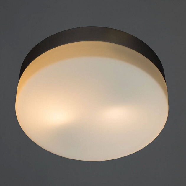 Потолочный светильник Arte Lamp Shirp A3211PL-2SI Фото № 2