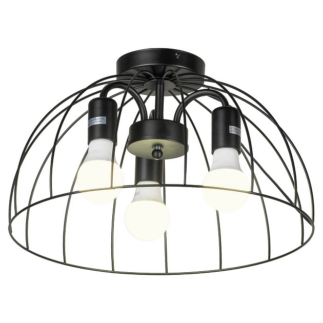 Потолочная люстра Lussole Lgo Lattice LSP-8215 Фото № 1
