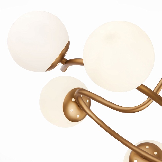 Потолочная люстра Evoluce Calabria SLE220602-06 изображение 2 Потолочная люстра Evoluce Calabria SLE220602-06 Фото № 2