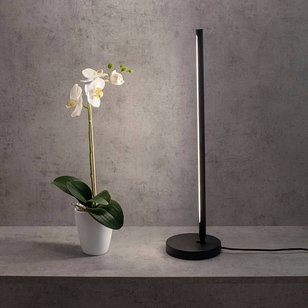 Настольная лампа Mantra Torch 6738 изображение 4 Настольная лампа Mantra Torch 6738 Фото № 4