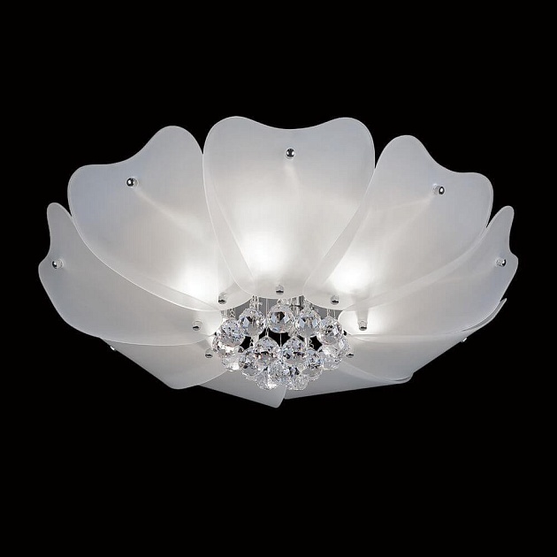 Потолочный светильник Lightstar Lobo 804020 изображение 3 Потолочный светильник Lightstar Lobo 804020 Фото № 3