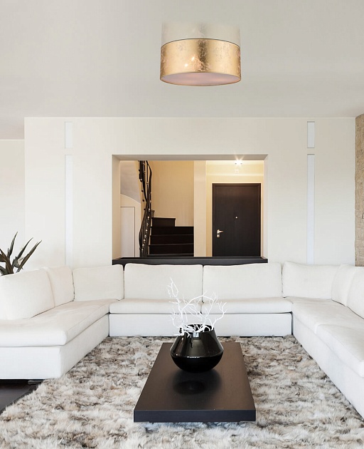 Потолочный светильник Globo Amy 15187D Фото № 2