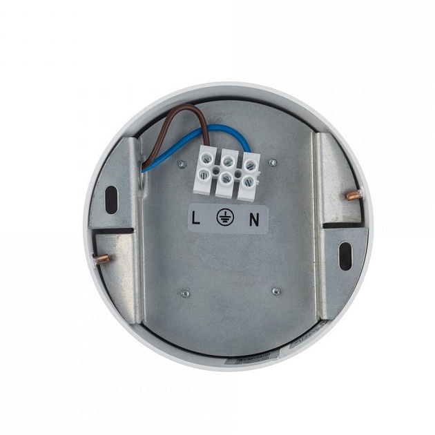 Потолочный светильник Nowodvorski Flea 8202 изображение 2 Потолочный светильник Nowodvorski Flea 8202 Фото № 2