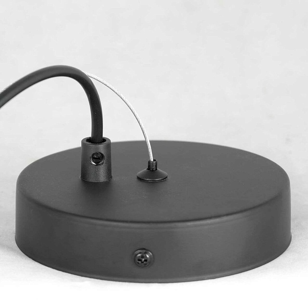 Подвесная люстра Lussole Lgo Huron LSP-8199 Фото № 5