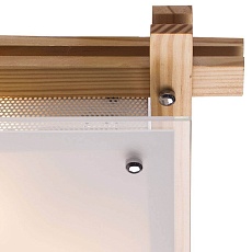Потолочный светильник Arte Lamp 94 A6460PL-2BR 1