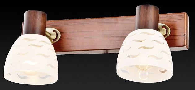 Спот Toplight Shayla TL3730Y-02BB изображение 3 Спот Toplight Shayla TL3730Y-02BB Фото № 3