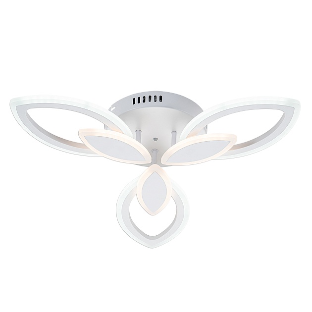 Потолочная светодиодная люстра Escada Gentle 10287/3LED Фото № 5