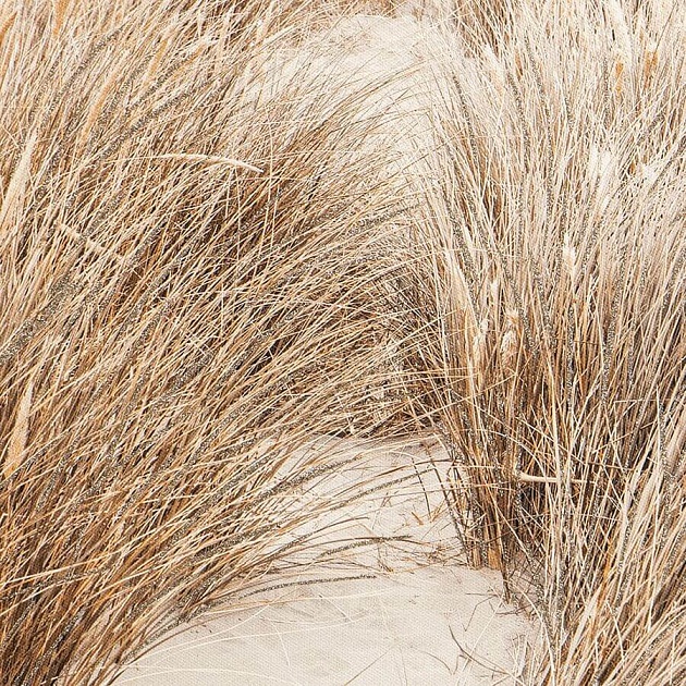 Панно Bergenson Bjorn Plant BB0000609 изображение 2 Панно Bergenson Bjorn Plant BB0000609 Фото № 2