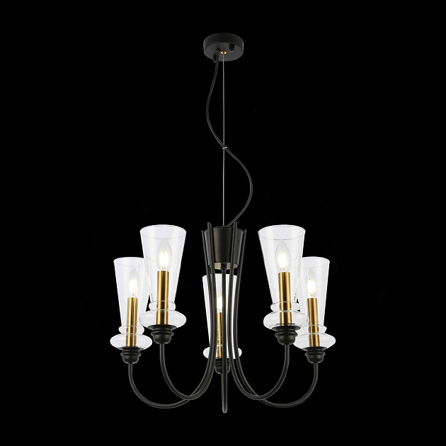 Подвесная люстра Evoluce Rammo SLE112403-05 изображение 2 Подвесная люстра Evoluce Rammo SLE112403-05 Фото № 2