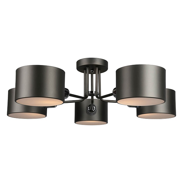 Потолочная люстра Omnilux Lisera OML-54507-05 изображение 1 Потолочная люстра Omnilux Lisera OML-54507-05 Фото № 1