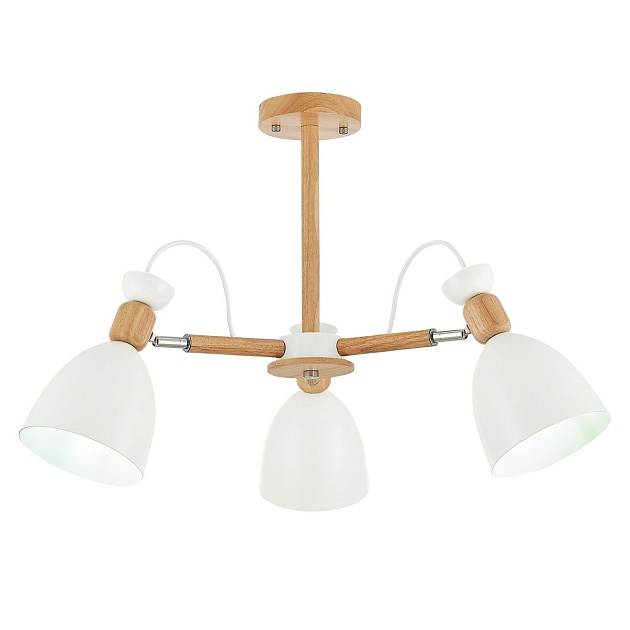 Потолочная люстра Evoluce Balcamo SLE103802-03 Фото № 1