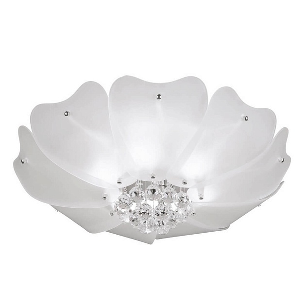 Потолочный светильник Lightstar Lobo 804020 изображение 1 Потолочный светильник Lightstar Lobo 804020 Фото № 1