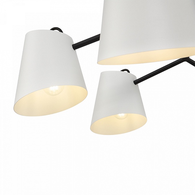 Подвесная люстра Freya Nordic FR5127PL-06B Фото № 3