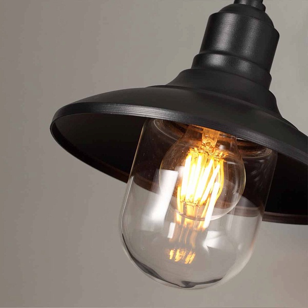 Уличный настенный светильник Odeon Light Nature Campa 4965/1W Фото № 2