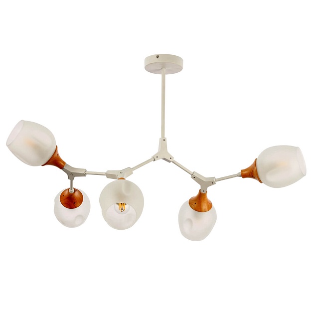 Потолочная люстра Evoluce Ciotolla SLE113502-05 изображение 1 Потолочная люстра Evoluce Ciotolla SLE113502-05 Фото № 1