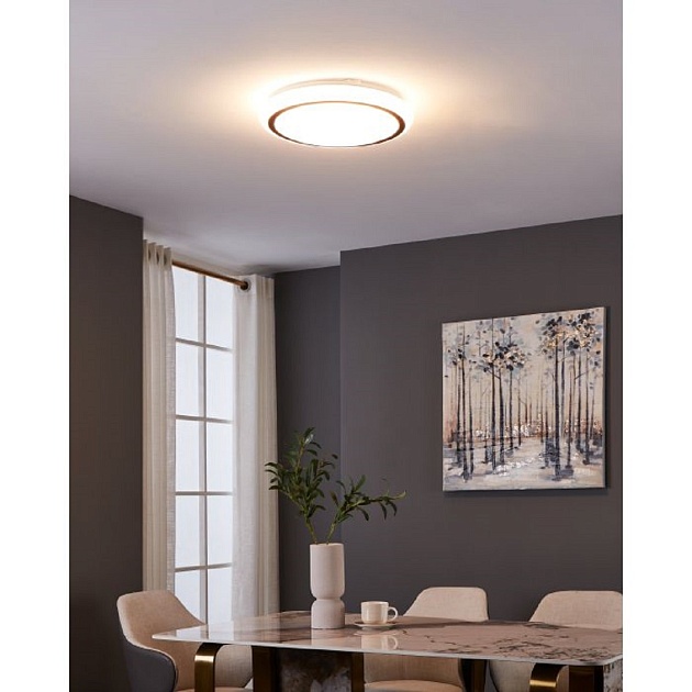 Настенно-потолочный светодиодный светильник Eglo Capasso 900149 Фото № 3