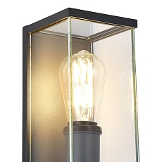 Уличный настенный светильник ST Luce Gross SL9019.701.01 1