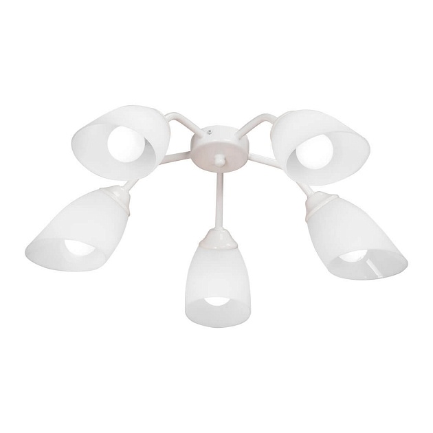 Потолочная люстра Vitaluce V3195/5PL изображение 1 Потолочная люстра Vitaluce V3195/5PL Фото № 1
