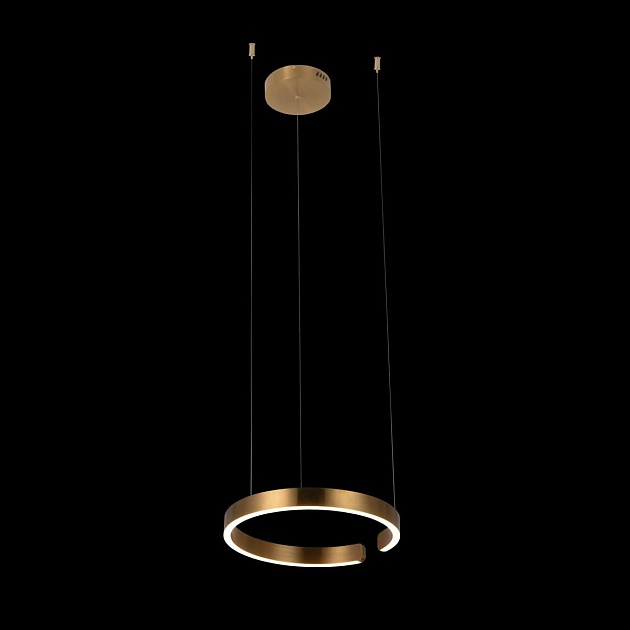 Подвесной светодиодный светильник Loft IT Ring 10013S Фото № 5