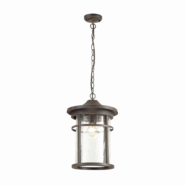 Уличный подвесной светильник Odeon Light Nature Virta 4044/1 Фото № 4