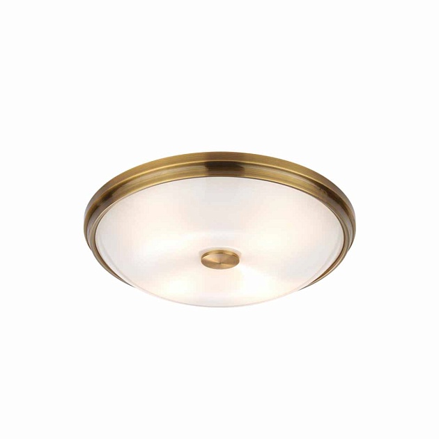 Потолочный светильник Odeon Light Walli Pelow 4956/4 Фото № 3