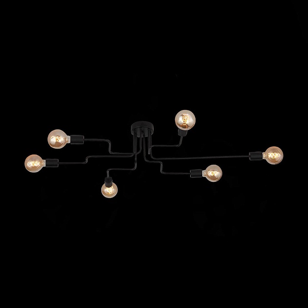 Потолочная люстра Evoluce Ano SL419.442.06 изображение 11 Потолочная люстра Evoluce Ano SL419.442.06 Фото № 11