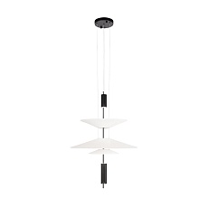 Подвесной светильник Loft IT Skylar 10244/B Black 4