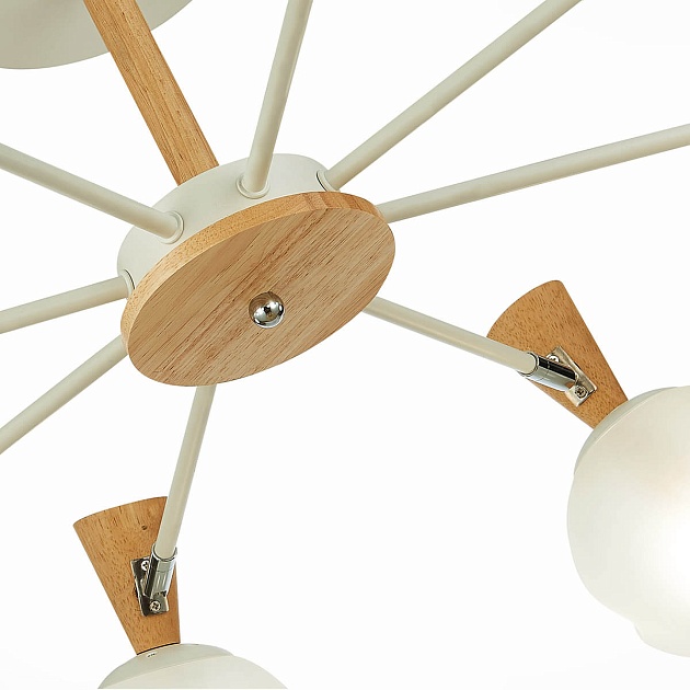 Потолочная люстра Evoluce Catania SLE220702-08 Фото № 2